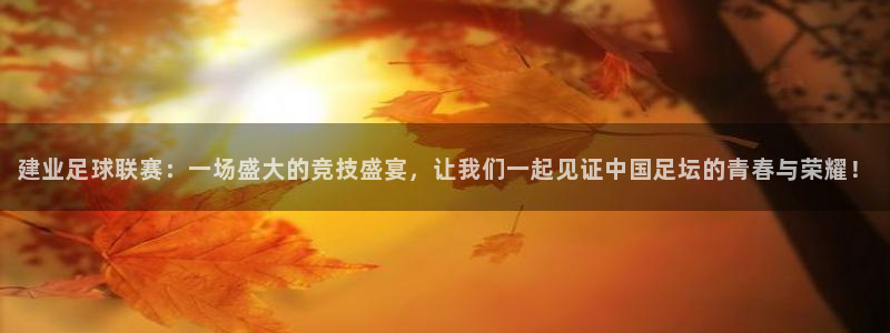  建业足球联赛：一场盛大的竞技盛宴，让我们一起见证中国足坛的青