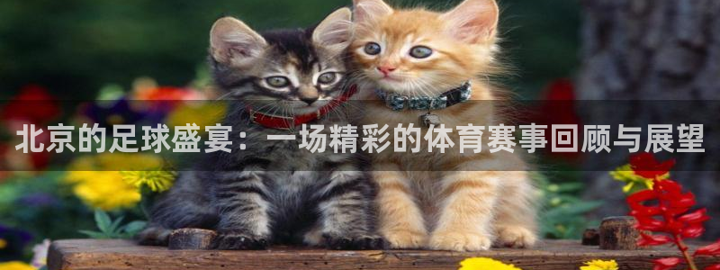 北京的足球盛宴：一场精彩的体育赛事回顾与展望