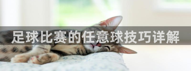 足球比赛的任意球技巧详解