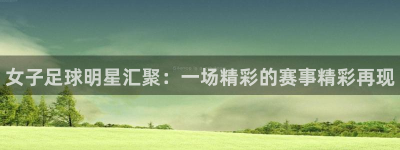  女子足球明星汇聚：一场精彩的赛事精彩再现