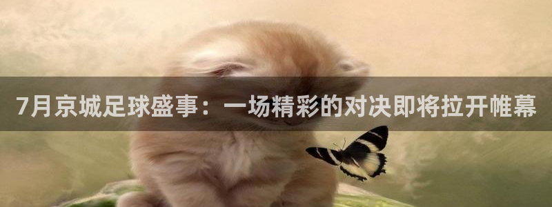 7月京城足球盛事：一场精彩的对决即将拉开帷幕
