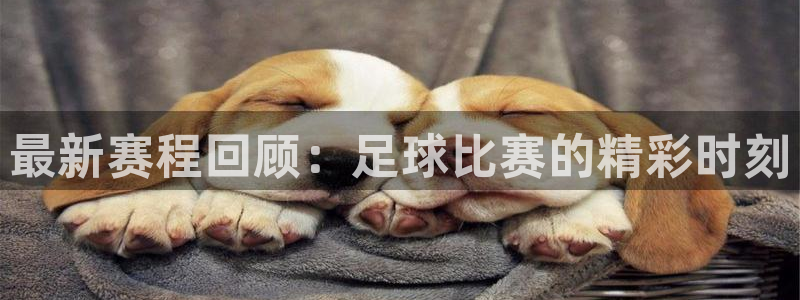  最新赛程回顾：足球比赛的精彩时刻