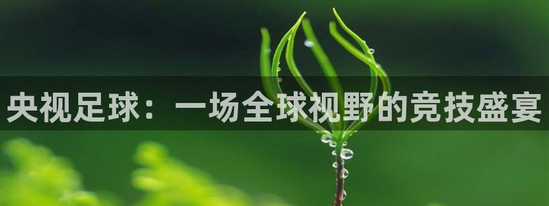  央视足球：一场全球视野的竞技盛宴