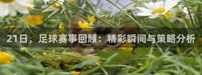  21日，足球赛事回顾：精彩瞬间与策略分析