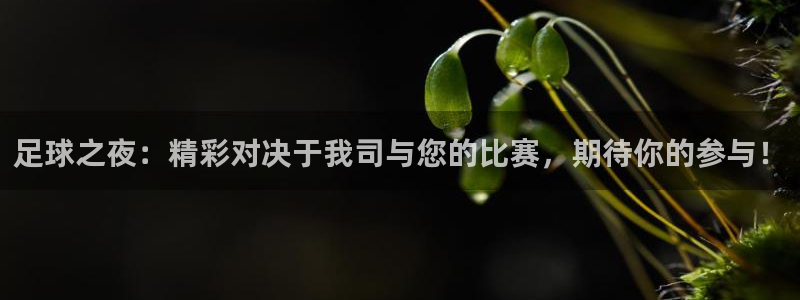  足球之夜：精彩对决于我司与您的比赛，期待你的参与！
