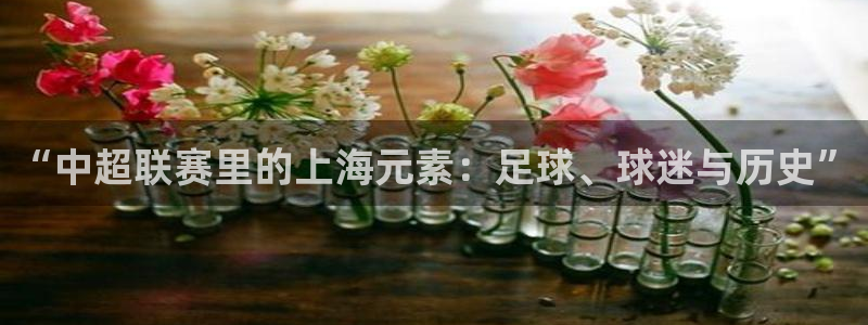 “中超联赛里的上海元素：足球、球迷与历史”