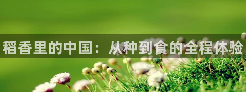 51视频在线直播nba：稻香里的中国：从种到食的全程体验