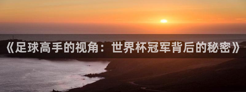 《足球高手的视角：世界杯冠军背后的秘