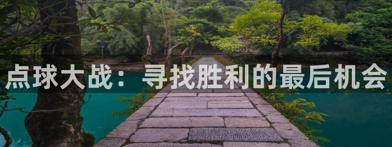 点球大战：寻找胜利的最后机会