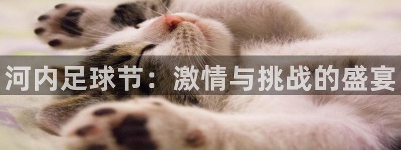 河内足球节：激情与挑战的盛宴