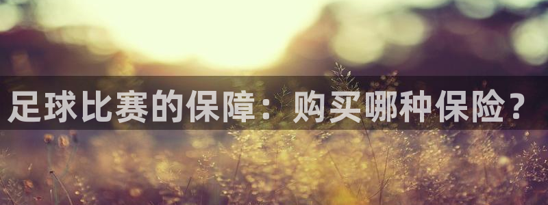 足球比赛的保障：购买哪种保险？
