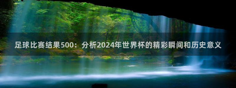 足球比赛结果500：分析2024年世