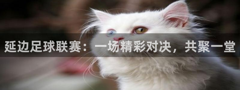 延边足球联赛：一场精彩对决，共聚一堂