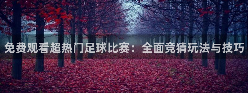 免费观看超热门足球比赛：全面竞猜玩法