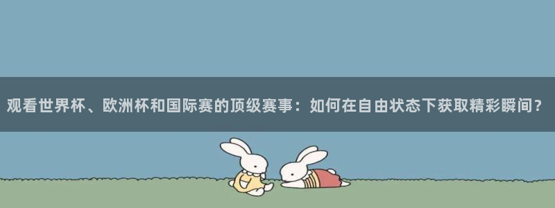 观看世界杯、欧洲杯和国际赛的顶级赛事