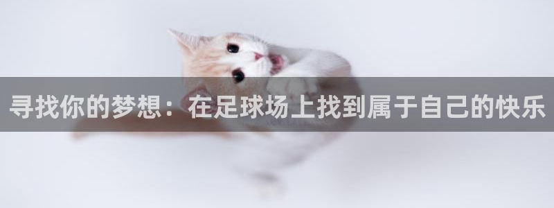 寻找你的梦想：在足球场上找到属于自己的快乐