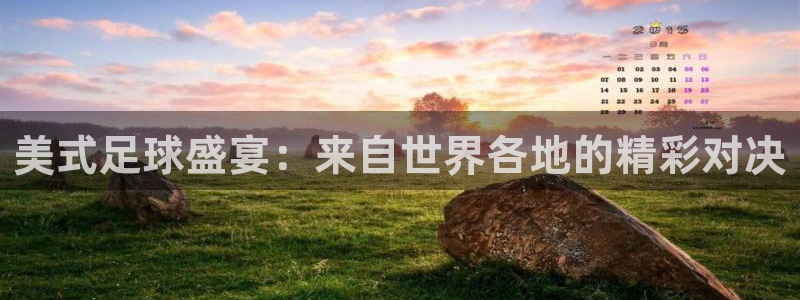 美式足球盛宴：来自世界各地的精彩对决
