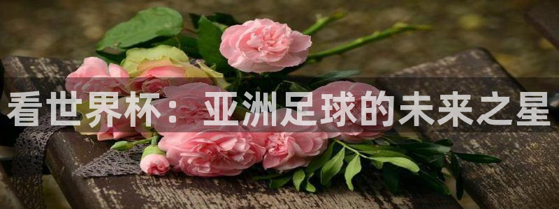 看世界杯：亚洲足球的未来之星