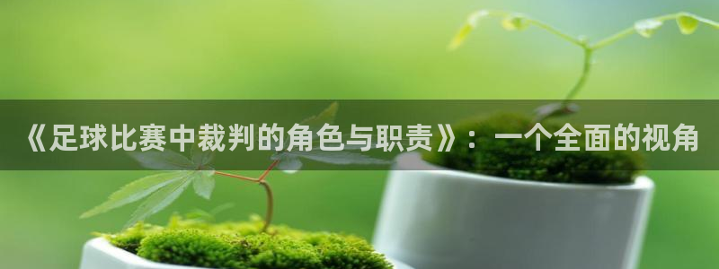 《足球比赛中裁判的角色与职责》：一个全面的视角