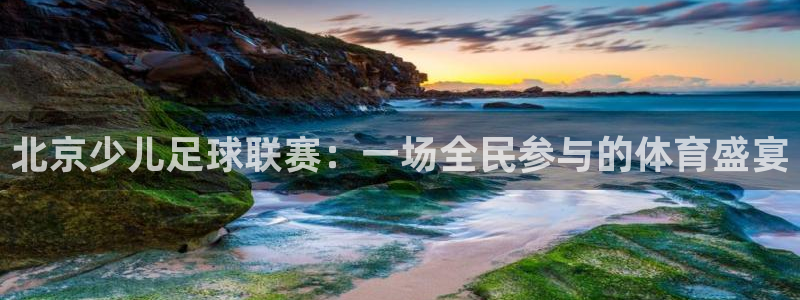 北京少儿足球联赛：一场全民参与的体育盛宴