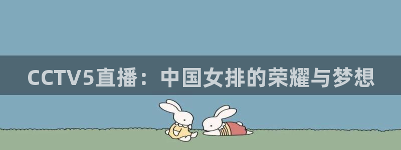 51视频在线直播nba