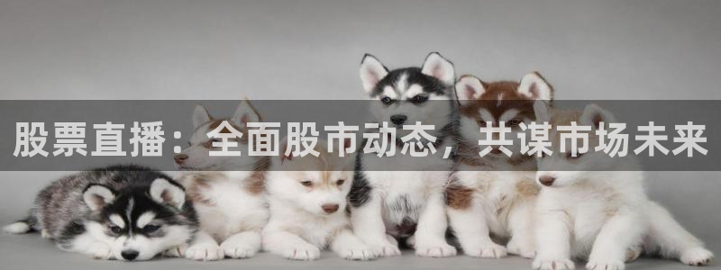 51视频在线直播nba：股票直播：全面股市动态，共谋市场未来