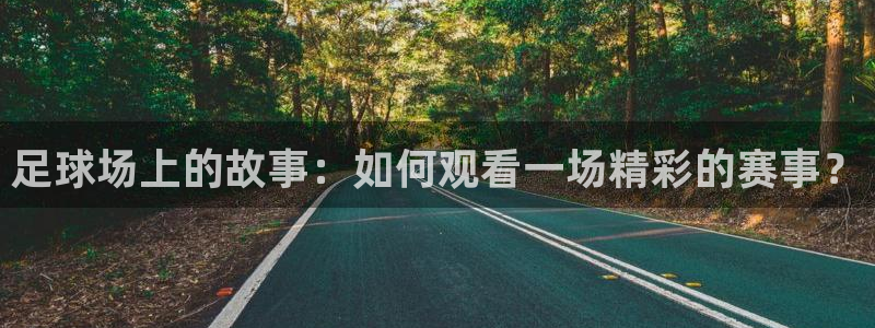 51视频在线直播nba