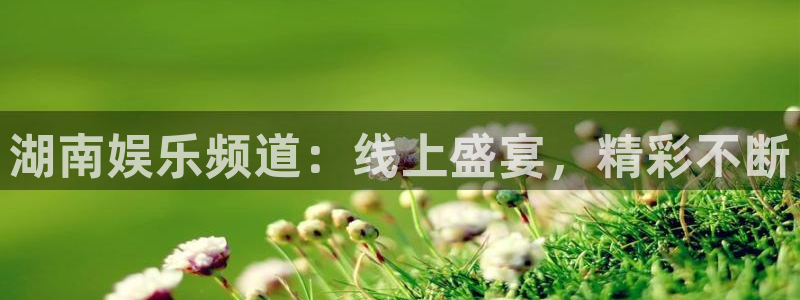 51视频在线直播nba：湖南娱乐频道：线上盛宴，精彩不断