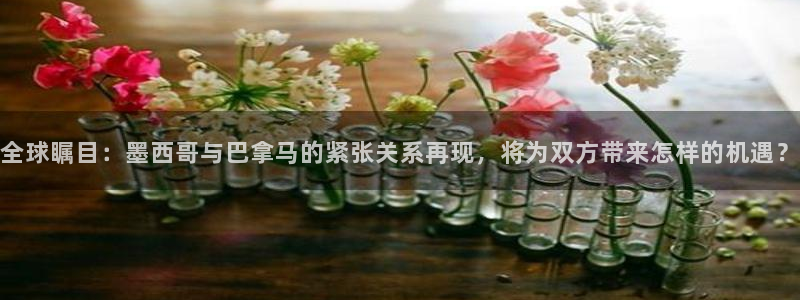 51视频在线直播nba