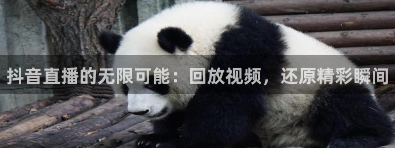 51视频在线直播nba：抖音直播的无限可能：回放视频，还原精彩瞬间
