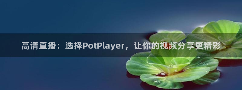 51视频在线直播nba：高清直播：选择PotPlayer，让你的视频分享更精彩